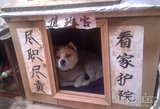 尽心尽职