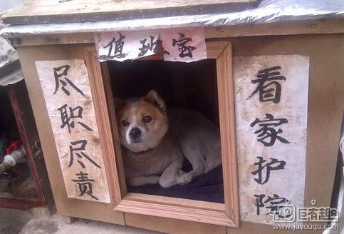 尽心尽职