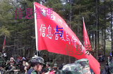 文章附图